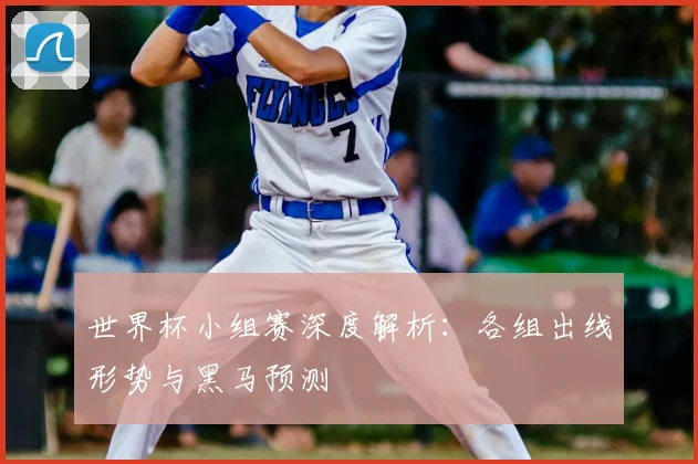 世界杯小组赛深度解析：各组出线形势与黑马预测