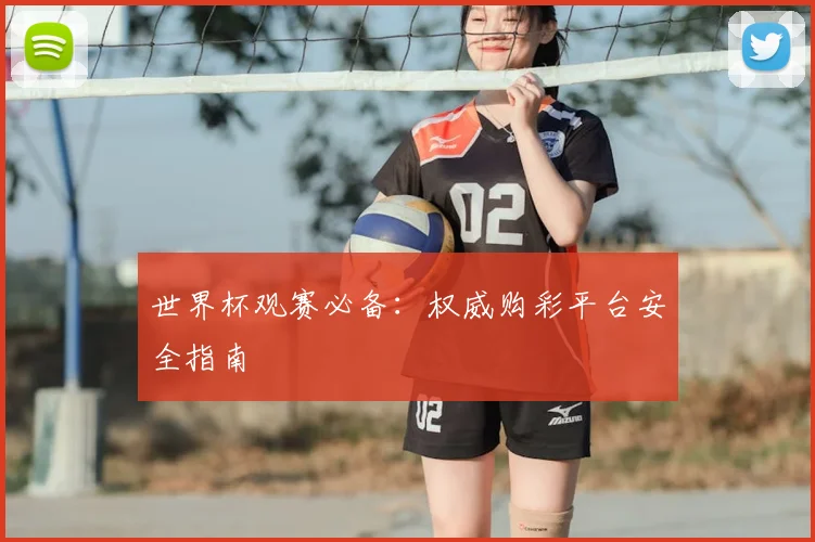 世界杯观赛必备：权威购彩平台安全指南