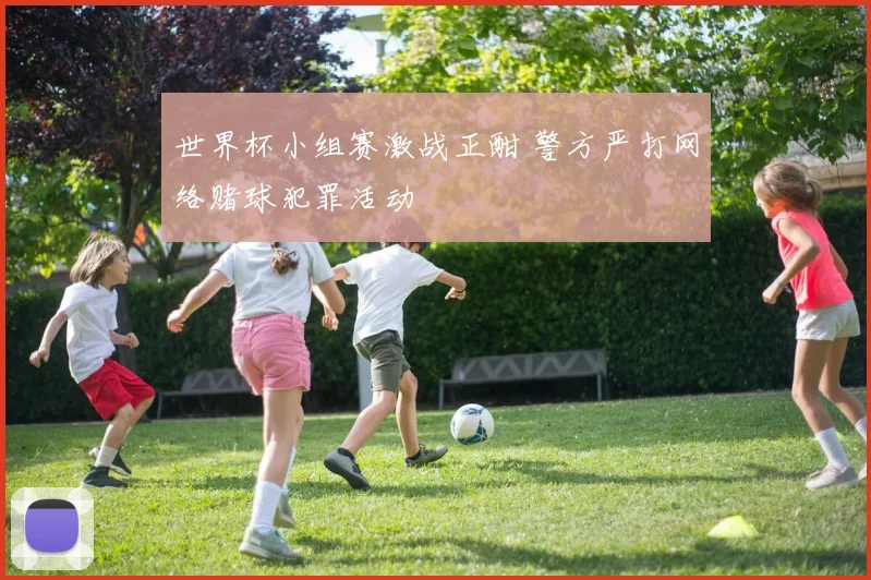 世界杯小组赛激战正酣 警方严打网络赌球犯罪活动